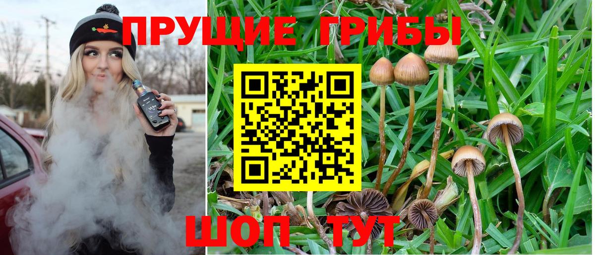 как найти закладки  Вход с VPN  Вязники  Галлюциногенные грибы ЛСД  Псилоцибиновые грибы ЛСД 